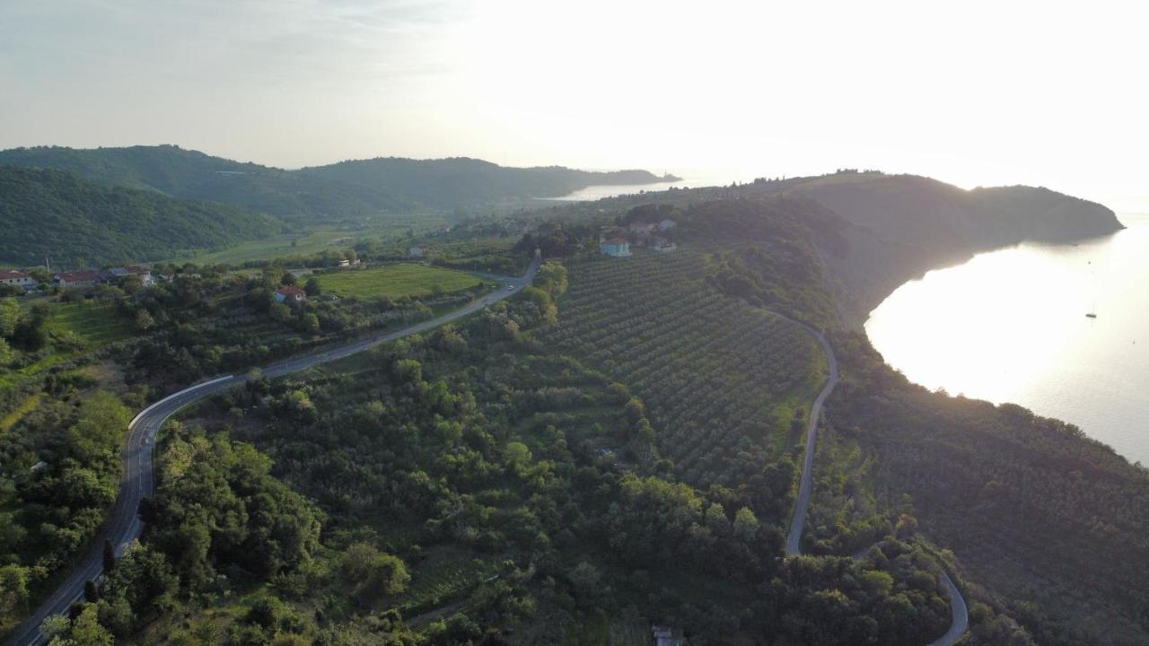 M & M Daire Izola Dış mekan fotoğraf